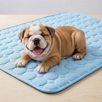 Aerofold™ Cooling Pet Mat